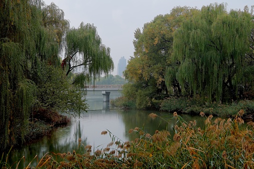 Beijing is city of most parks in whole world. Public park in Beijing is kind of way to people escape normal busy life.