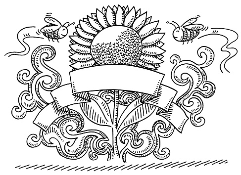 Hand-drawn vector drawing of a Blank Banner Sun Flower Bees Ornament. Black-and-White sketch on a transparent background (.eps-file). Included files are EPS (v10) and Hi-Res JPG.