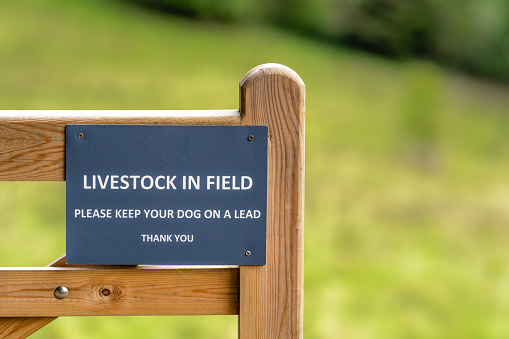 A warning sign on the gate to a field, requesting that dogs are kept on a lead for livestock safety.