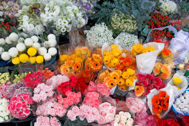 istock Beautiful colorful carnation bouquet 1782032708