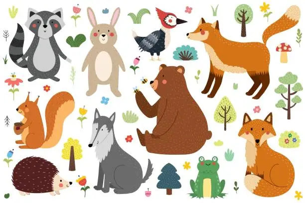 Vector illustration of Cute forest animals collection. Woodland characters set in cartoon style