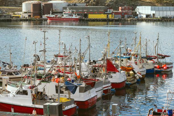 istock landscape inside the island of Mageroya, Norway 1782043266