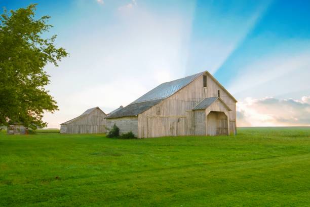 istock Old Weathered Barn at sunrise-Tipton County, Indiana 1782070428