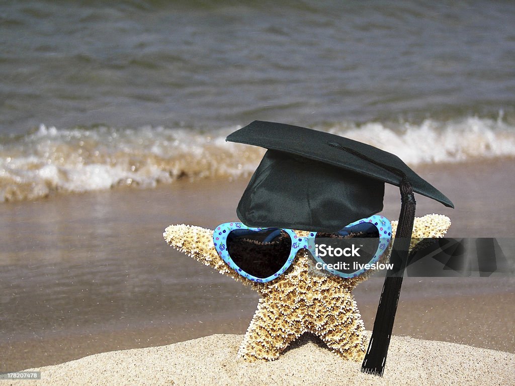 Starfish With Graduation Cap Stock Photo - Download Image Now - Beach ...