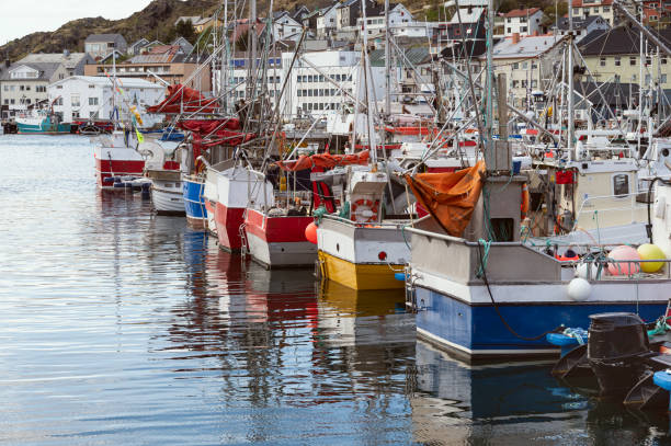 istock landscape inside the island of Mageroya, Norway 1782076737