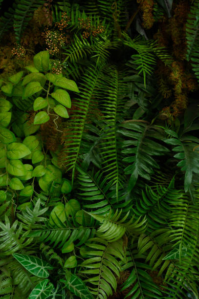 istock tropical leaves, abstract green leaves texture, nature background 1782085534