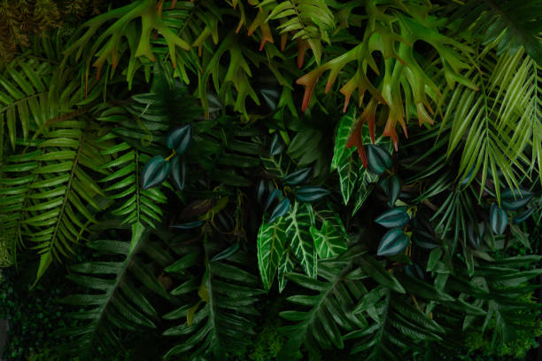 istock tropical leaves, abstract green leaves texture, nature background 1782085568