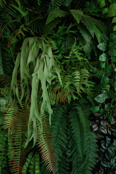 istock tropical leaves, abstract green leaves texture, nature background 1782085595