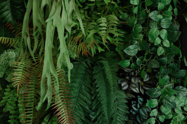 istock tropical leaves, abstract green leaves texture, nature background 1782085597
