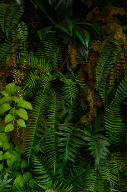 istock tropical leaves, abstract green leaves texture, nature background 1782086129