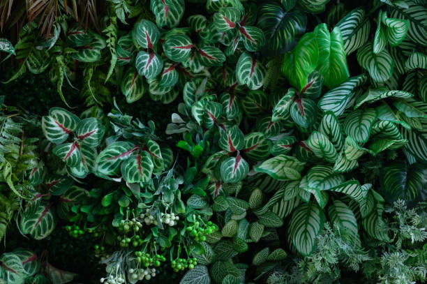 istock tropical leaves, abstract green leaves texture, nature background 1782086133