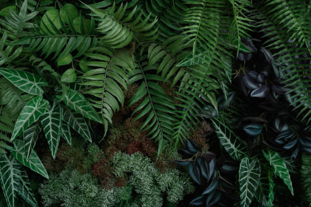 istock tropical leaves, abstract green leaves texture, nature background 1782086135