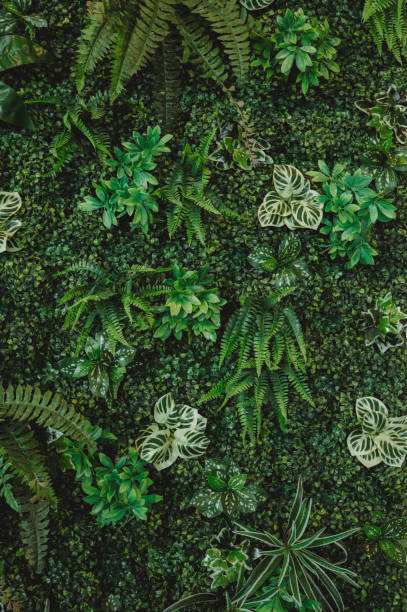 istock tropical leaves, abstract green leaves texture, nature background 1782086150