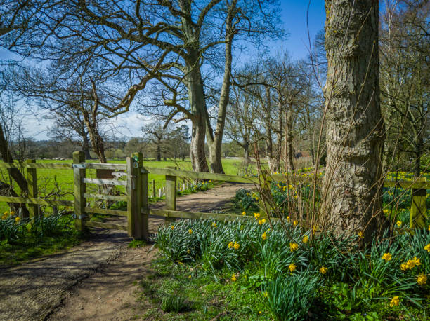 Photo taken in Okehampton, United Kingdom