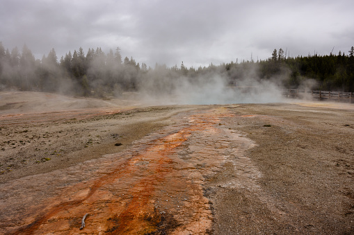 West Thumb Geyser Basin is filled with different hot springs and most of them empty out in the Yellowstone Lake of Yellowstone National Park