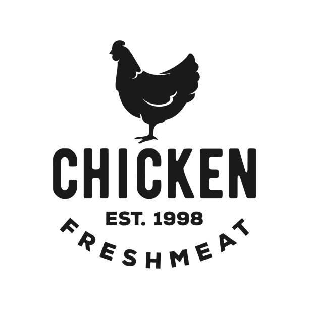 ilustrações, clipart, desenhos animados e ícones de vector chicken, ilustração vintage da galinha. 12 modelos de emblema e pôster retrô da moda para poultry business, butchery, meat shop, design de menu de restaurante. diagrama de cortes de frango. ovo de galinha, carne. ilustração stock - frango