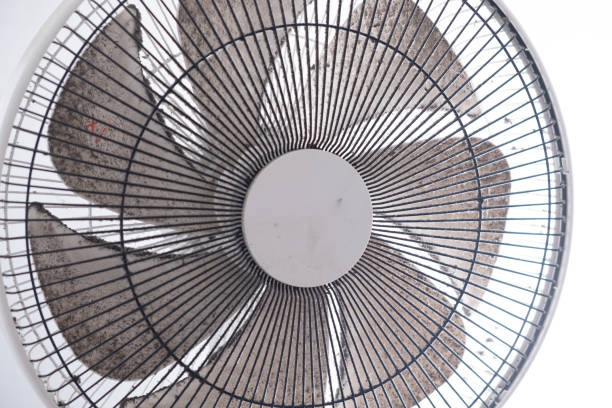 cleaning dirty electric fan