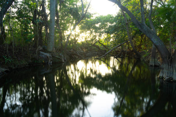 istock small lagoon in the Cuban countryside 1782117239