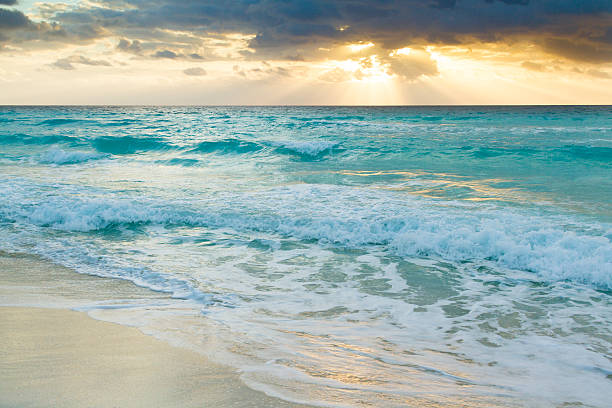 istock Beach of the Caribbean Sea 178212877