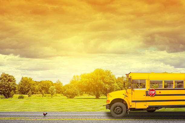 scuolabus su american strada di campagna al mattino - school farm foto e immagini stock