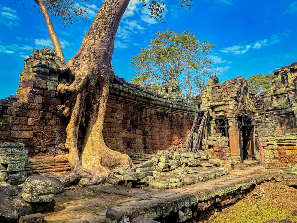 istock Preah Khan, Preah Khan Kampong Svay archaeological site, Angkor, Cambodia 1782170471