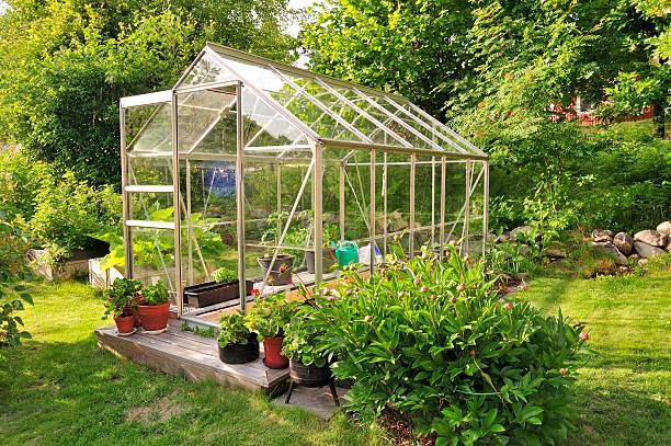 istock Garden Center Greenhouse 178217116
