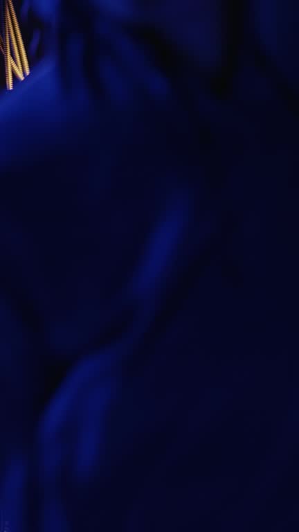 Vertical video Cybercriminals run from police