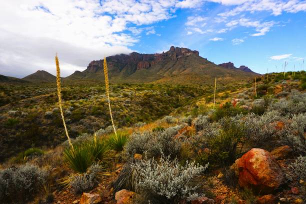 istock Big Bend National Park Texas 1782181178