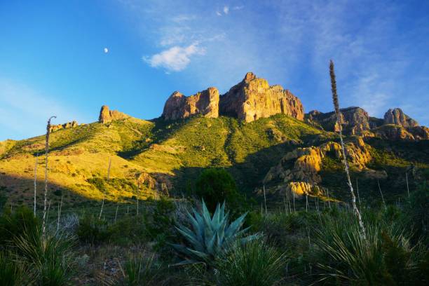 istock Big Bend National Park Texas 1782182319