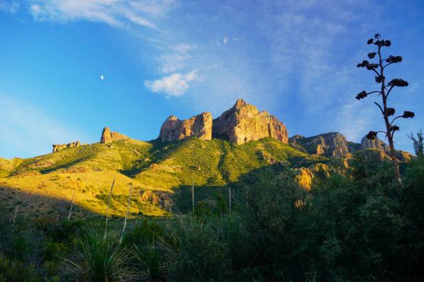 istock Big Bend National Park Texas 1782182331