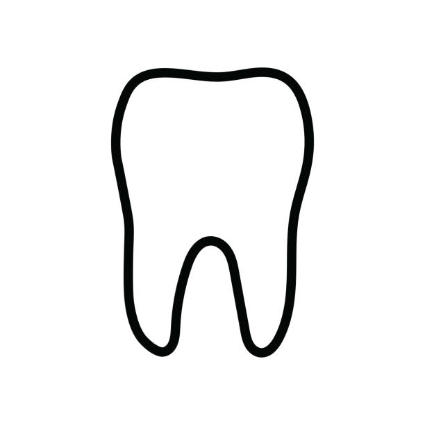 A hand-drawn cartoon doodle tooth icon on a white background. Hand-drawn cartoon doodle tooth icon isolated on a white background. Flat design. Vector illustration. teeth clipart stock illustrations