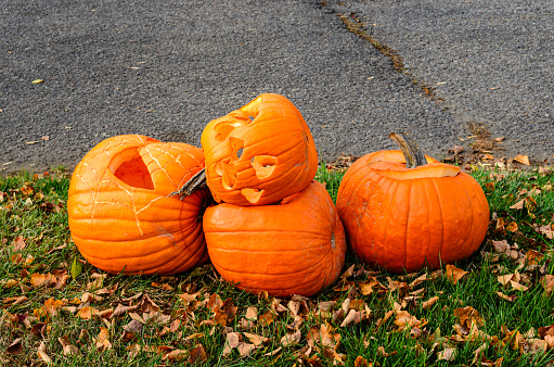 Pile of discarded carved pumpkins on a roadside on a leaf covered grass curb