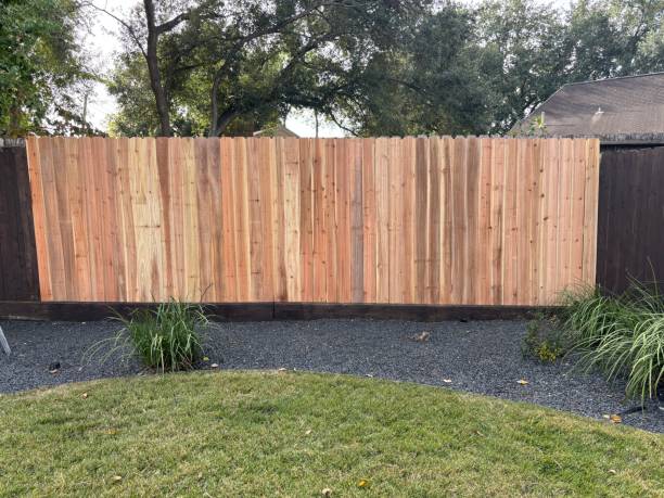 istock New cedar pickets installed on a backyard fence 1782225351