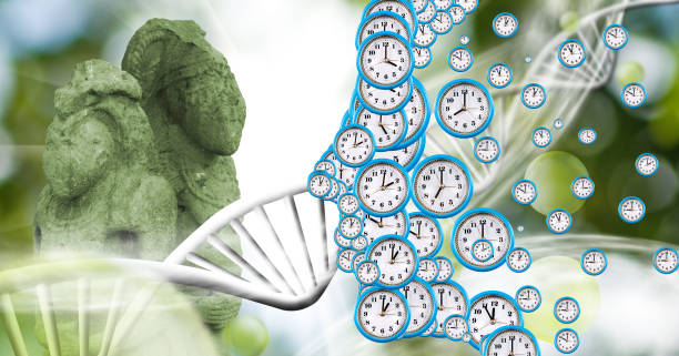 istock Abstract image of a person's profile symbolically composed of dials of different sizes 1782230712