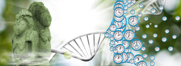 istock Abstract image of a person's profile symbolically composed of dials of different sizes 1782230716