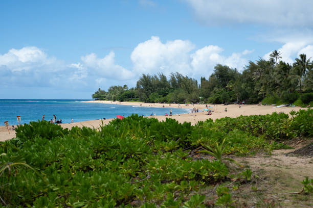 istock Looking out onto Ha'ena Beach 1782241116