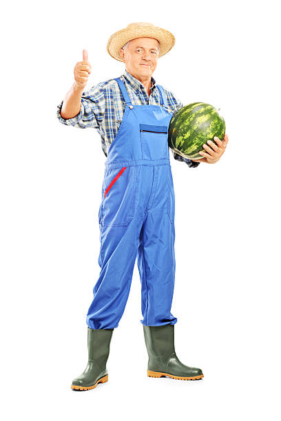 agricultor sonriente sosteniendo una sandía y dando pulgar arriba - watermelon full length isolated circle fotografías e imágenes de stock