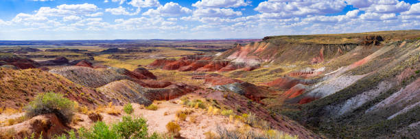 istock Painted Desert National Park 1782250506
