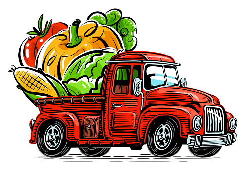 Farmer rides in a truck loaded with organic food. Farm vector illustration