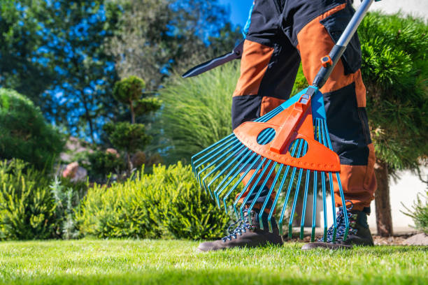 istock Garden Worker with Plastic Modern Rake in His Hands 1782254548