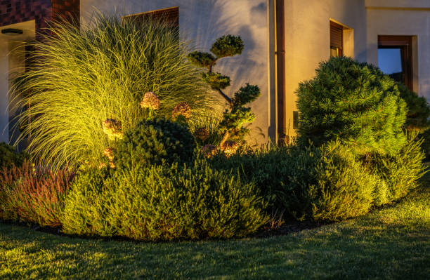 istock Garden Plants Illuminated by Outdoor LED Lighting 1782258476