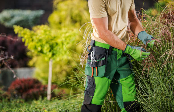 istock Garden Worker Performing Garden Seasonal Maintenance 1782260796