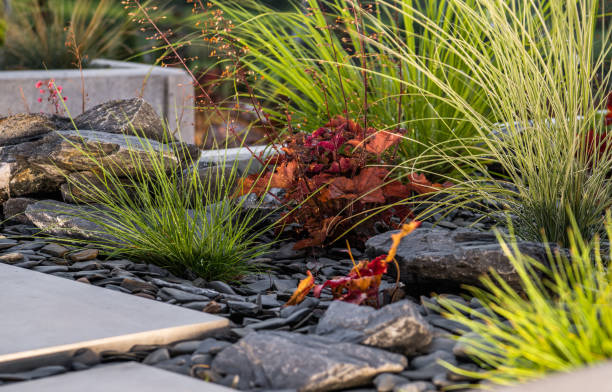 istock Rockery Garden Design with Colorful Plants and the Pathway 1782272987