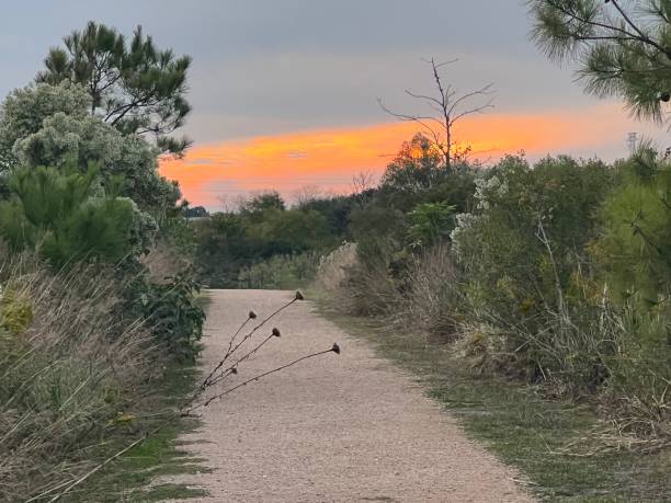 istock Nature trail with Fall grasses in Seabrook, Texas USA 1782282306