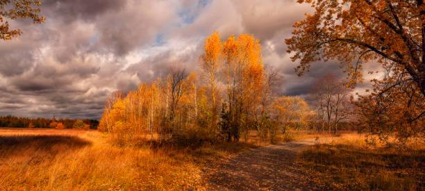 istock Autumn panorama. Dirt road among autumn trees and dramatic autumn sky. 1782291695