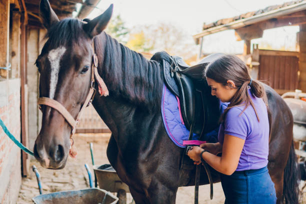 istock A young woman saddling a horse 1782293933