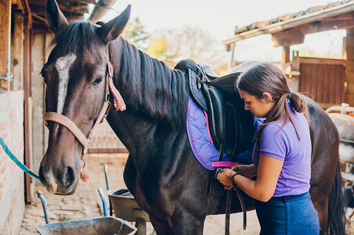 A young woman saddling a horse.