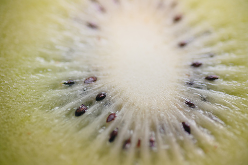 Close-up of the inside of a kiwi fruit