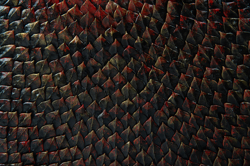 background filled with scales reminiscent of a reptile or dragon skin - handmade - luxury
