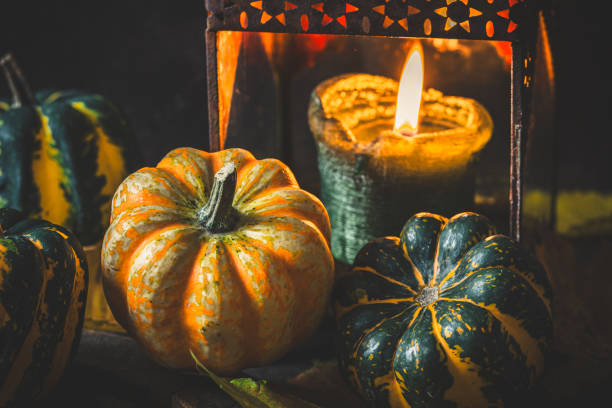 Pumpkins and rusty lantern with candle for autumn decoration, dark wooden background